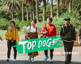911制品厂《TOP DOG》免费在线观看
