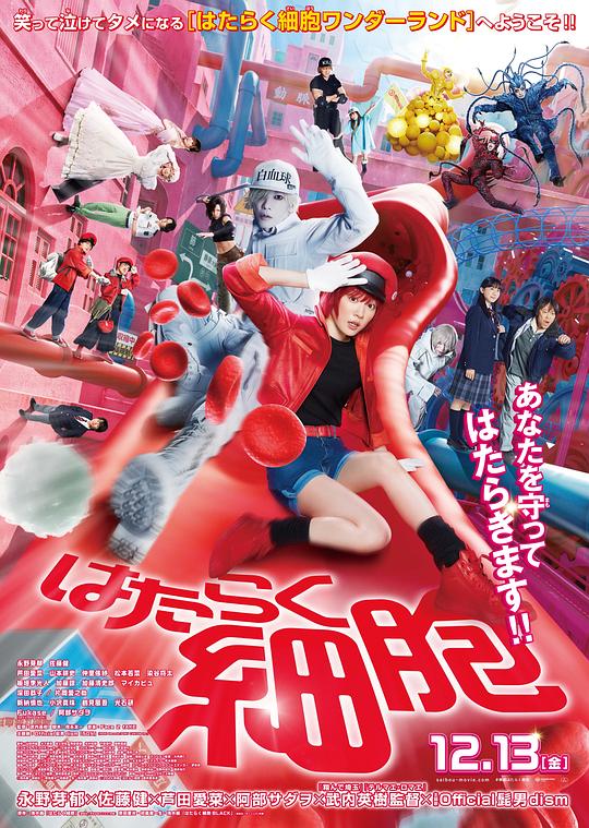 911今日黑料《工作细胞 真人版 はたらく細胞》免费在线观看