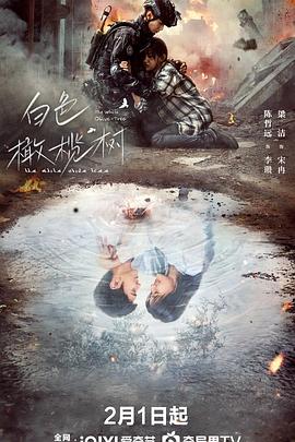 911吃瓜爆料《白色橄榄树》免费在线观看