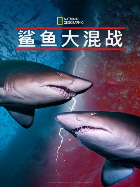 911制品厂《鲨鱼大混战》免费在线观看
