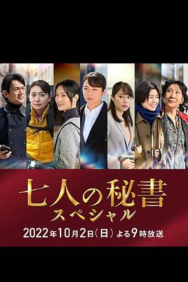 911制品厂《七个秘书 特别篇 七人の秘書スペシャル》免费在线观看