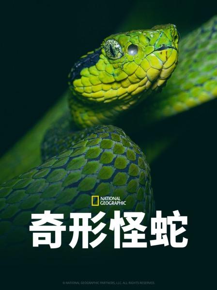 911吃瓜爆料《奇形怪蛇》免费在线观看